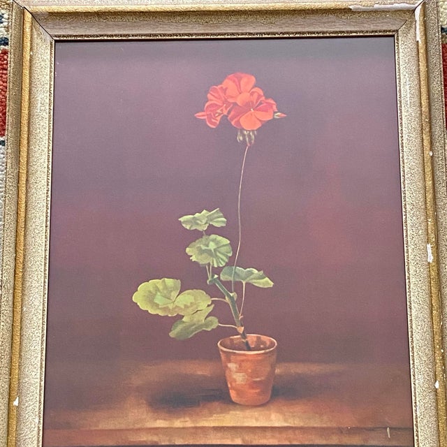 Framed Print "Geranium in a Pot" by Marcus Jacobi For Sale - Image 12 of 12