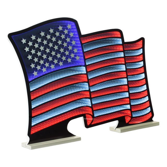 Waving American Flag Ekkolight 37.5"L For Sale