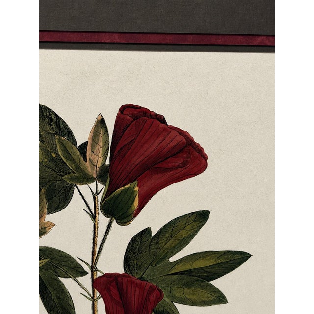Wood Vintage Framed "Jenna's Flowers Ii" Botanical Print by Decorative Arts, Inc. For Sale - Image 7 of 12