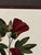 Wood Vintage Framed "Jenna's Flowers Ii" Botanical Print by Decorative Arts, Inc. For Sale - Image 7 of 12
