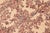 1990s Shabby Chic Trellis 1990's Pak-Persian Ivory/Pink Wool Rug - 6'3'' X 9'1'' For Sale - Image 5 of 9