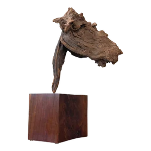 Large Vintage Found Abstract Horse Head Driftwood Sculpture on Stand