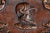 Unique Soldier Braided Trim Hand Tooled Antique Leather Cigarette Case Tobacciana For Sale - Image 4 of 13
