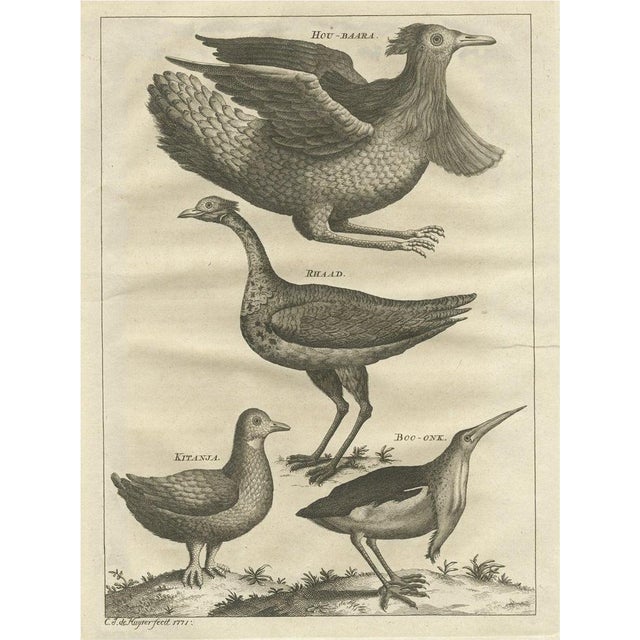 Houbara and the Arabian Bustard and More, 1773, Paper For Sale