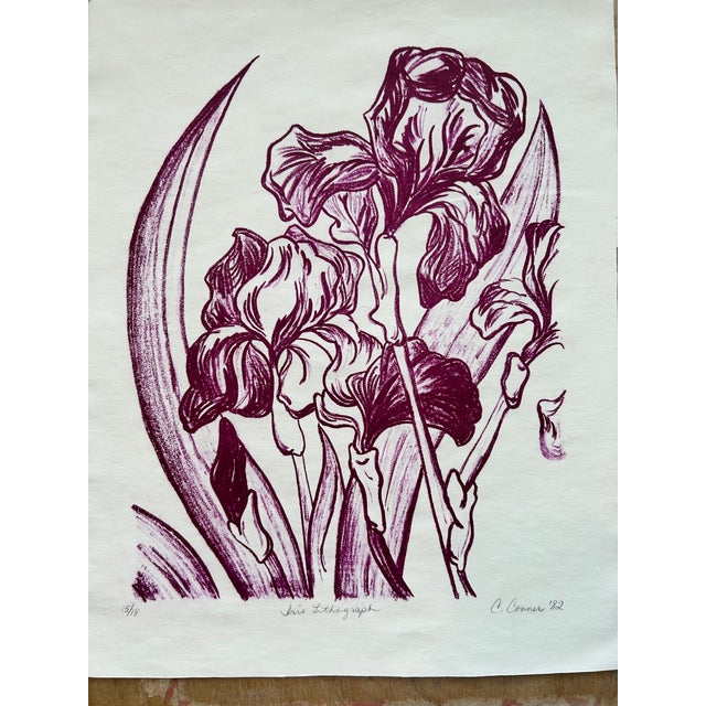 Art Nouveau 1980s Original Hand Printed Lithograph “Burgundy Iris” For Sale - Image 3 of 10