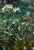 Textile Oil Painting the Moon Shines Over the Field Oleksiy Ivanyuk For Sale - Image 7 of 8