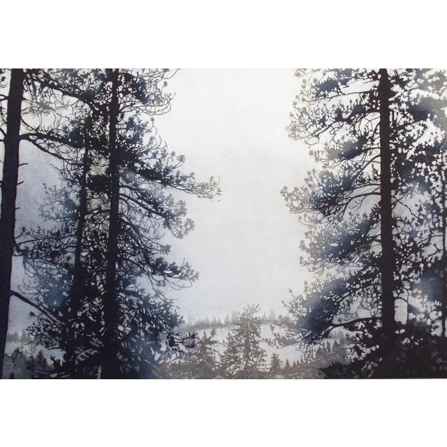 Unframed realistic original limited edition etching of pine trees. Hand signed, titled and numbered by the artist in...