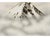 Japanese Wireless Cloisonne Mount Fujiyama Plaque For Sale - Image 4 of 4