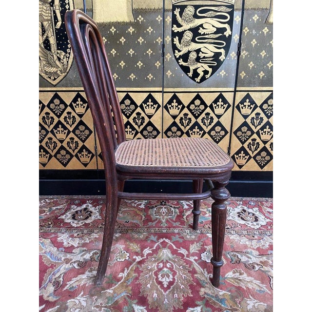 Wood Chairs in Caning from Thonet, Set of 5 For Sale - Image 7 of 11