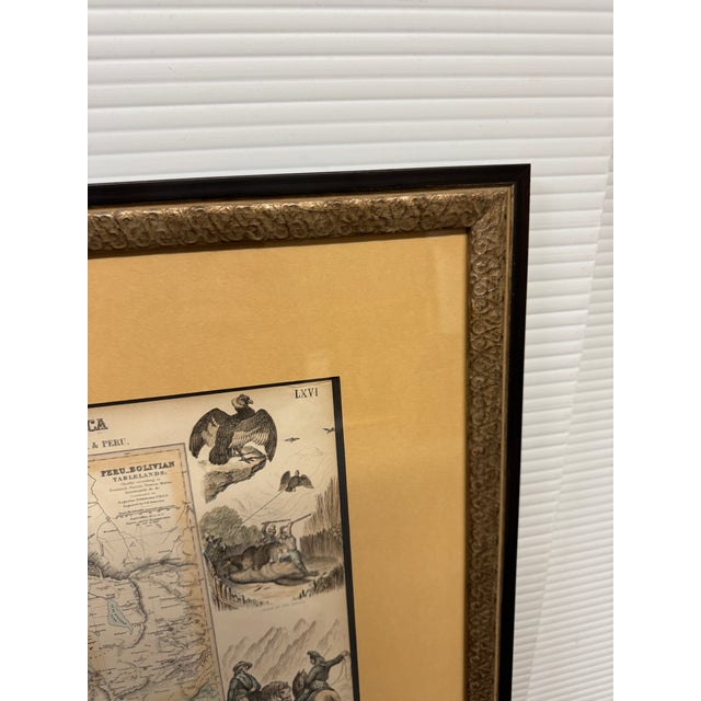 Circa 1860 West Coast of South America Original Print + Certificate of Authenticity For Sale - Image 10 of 12