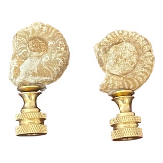 1960s Ammonite Lamp Finials - a Pair For Sale