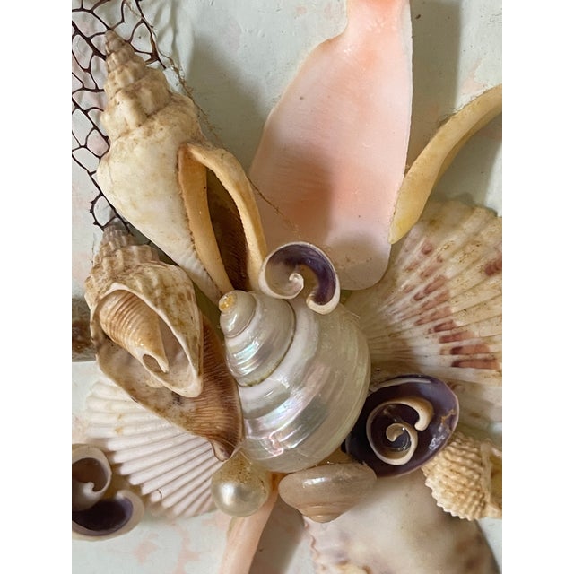 Pair of Original Coastal Shell Art Framed For Sale In Miami - Image 6 of 7