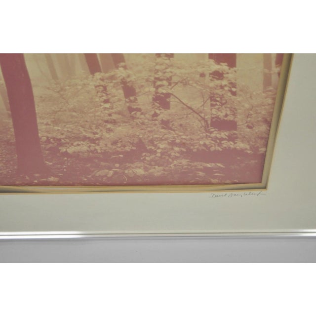 Vintage David Lorenz Winston "Seven Trees" Landscape Signed Framed Art Print For Sale - Image 9 of 14