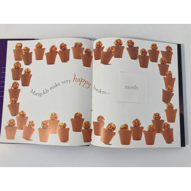 Anne Geddes Down in the Garden Large Hardcover Book 1996 For Sale - Image 9 of 13