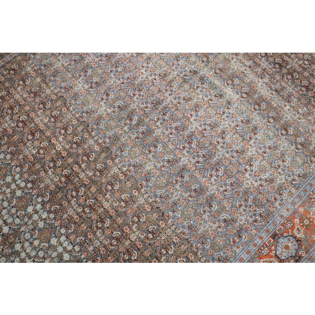 Early 20th Century Antique Persian Senneh Gallery Rug - 5'8" x 10'6" For Sale - Image 5 of 9