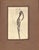 "Fifty Caricatures" Book 1913 Beerbohm, Max For Sale - Image 12 of 12