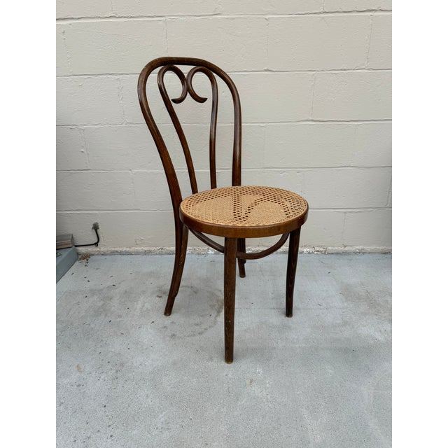Bring Old-World Class to Your Home with this Thonet-Style Bentwood Chair! This beautiful and classic bentwood chair is...