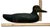 American Very Large Size Antique American Carved Wood Hand Painted Duck Hunters Decoy From Downeast Coastal Maine - 21 1/2 Inches Long For Sale - Image 3 of 18