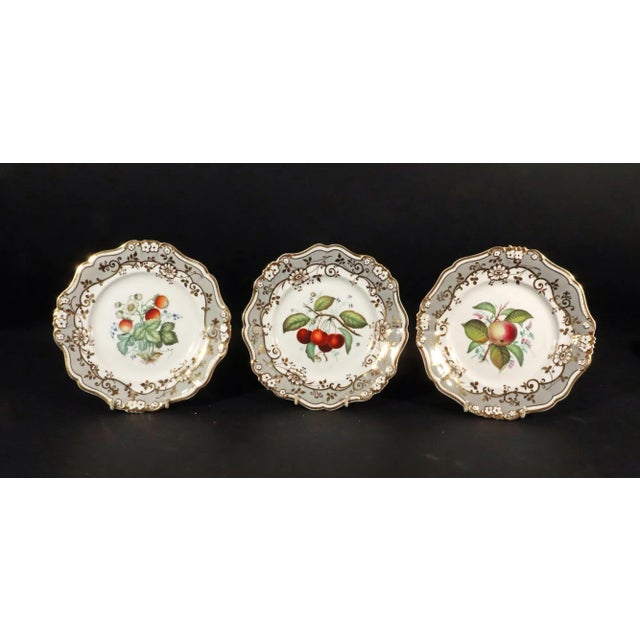 English Porcelain Botanical Fruit Dessert Service, Attributed to Coalport Circa 1830 For Sale In Philadelphia - Image 6 of 11