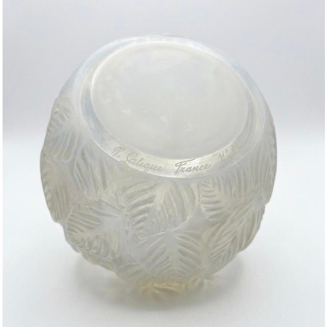 Lalique “Ormeaux” Vase, Model No. 984 For Sale - Image 12 of 16