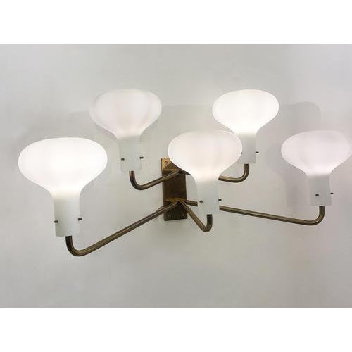 Mid-Century LP12 Wall Lights attributed to Ignazio Gardella for Azuzena, 1960s, Set of 2 For Sale - Image 16 of 18