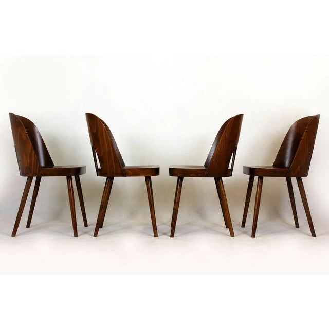 Wooden Chairs by Oswald Haerdtl for TON, 1950s, Set of 4 For Sale - Image 6 of 18