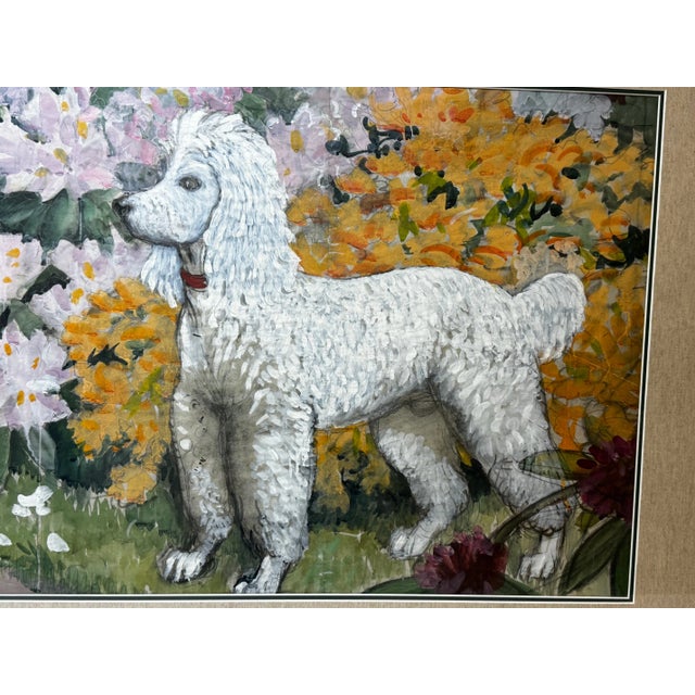 1 Cute British Fine Art Watercolor Painting Animal Portrait Of A White Poodle Dog By Charles Frederick Tunnicliffe OBE RA...
