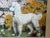1 Cute British Fine Art Watercolor Painting Animal Portrait Of A White Poodle Dog By Charles Frederick Tunnicliffe OBE RA...