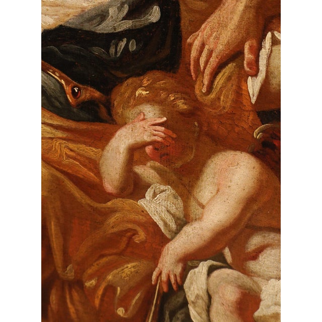 Corrado Giaquinto, Venus and Adonis, 1750, Oil on Canvas, Framed For Sale - Image 6 of 14