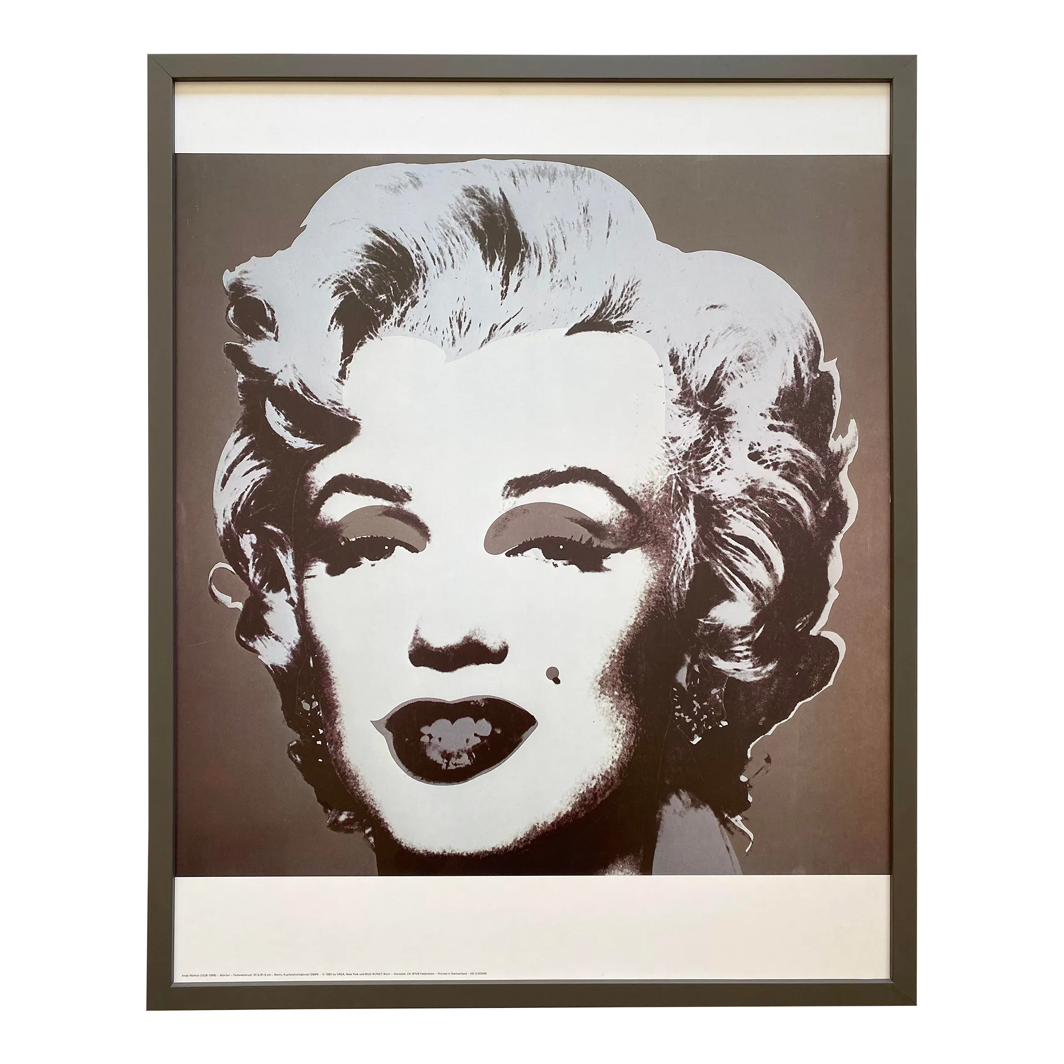 Andy Warhol Vintage 1981 Lithograph Print Framed Pop Art