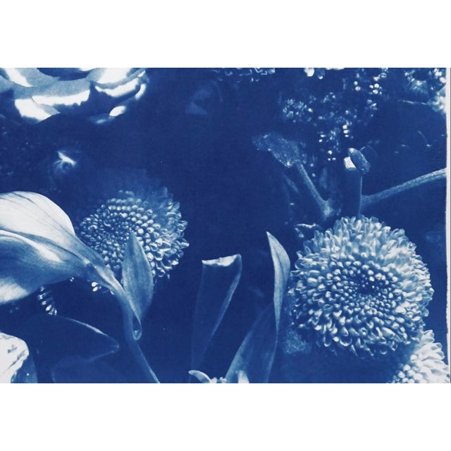 2020s 2020 Blue Bouquet Contemporary Cyanotype on Watercolor Paper For Sale - Image 5 of 8