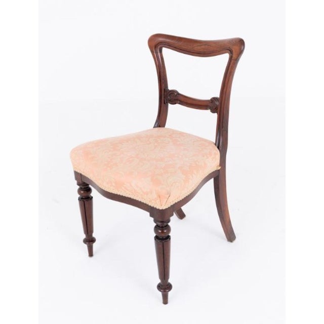 A fine set of eight william iv dining chairs of elegant proportions and excellent craftsmanship period 19th century...