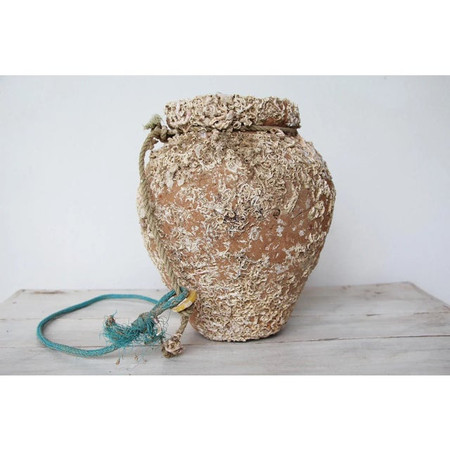 Rustic European 19th Century Terracotta Octopus Trap Vase For Sale - Image 3 of 13