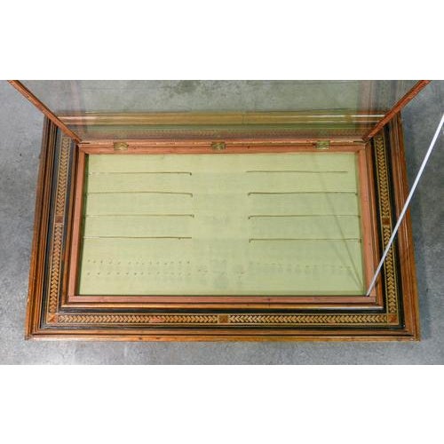 Large Wooden Medal Display Case, 1900s For Sale - Image 3 of 16