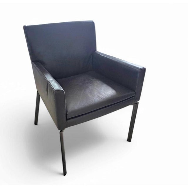 Animal Skin Manet Armchairs in Dark Brown Leather and Chrome from Minotti, 1990s, Set of 2 For Sale - Image 7 of 18