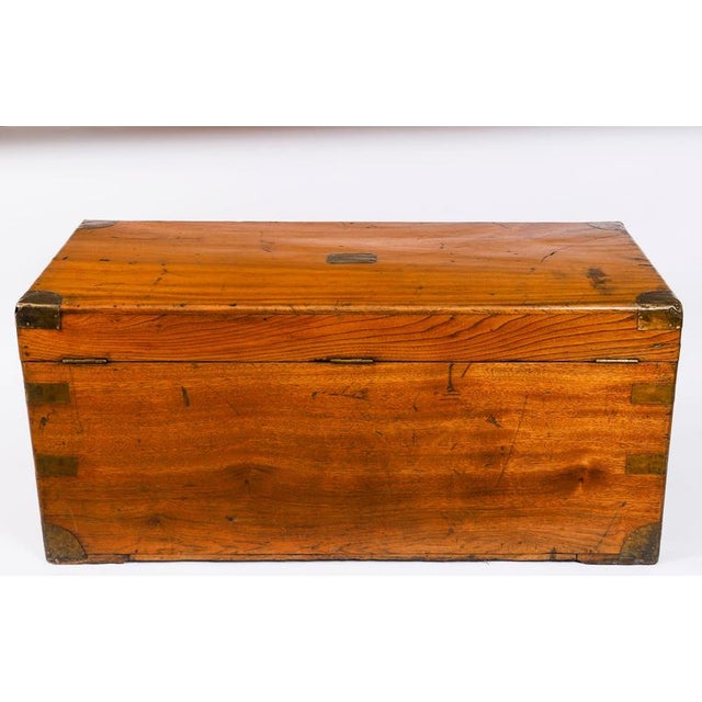 Antique Military Campaign Camphorwood Trunk Coffer, 1840s For Sale - Image 14 of 15