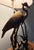 Figurative 1990s Wildwood Figurative Brass Standing Crane in the Reeds Table Lamp For Sale - Image 3 of 4