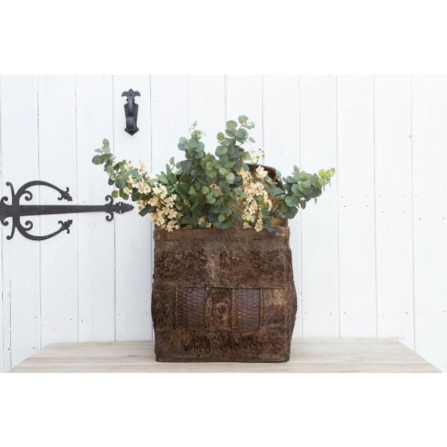 Rare Antique Hide Trunk From Bhutan For Sale - Image 9 of 10