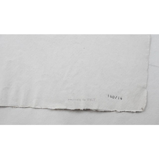 Paper Mid 20th Century Equestrian Dressage Prints After Johann Elias Ridinger - a Pair For Sale - Image 7 of 8