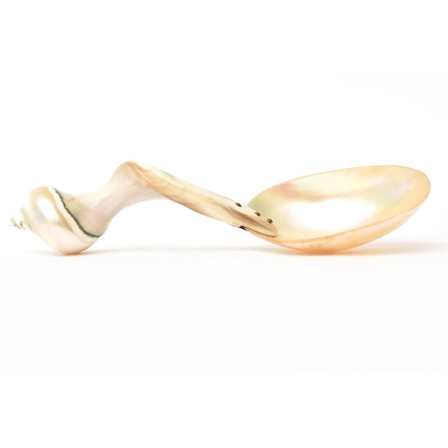 This lovely twisted vintage organic shaped mother-of-pearl serving spoon is so versatile. This is very special. It makes a...
