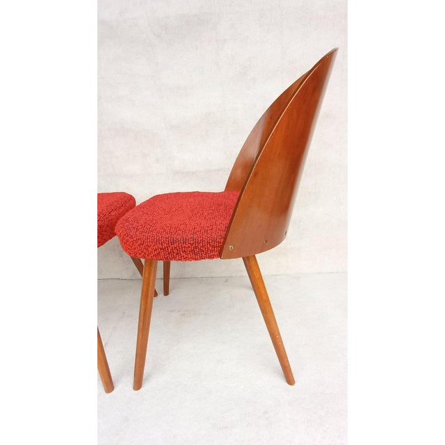 Mid-Century Dining Chairs by Antonin Suman, 1960s, Set of 2 For Sale - Image 9 of 13