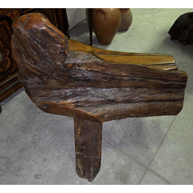 Purple 20th Century Bench in Olive Wood and Driftwood, Asia, 1920s For Sale - Image 8 of 9