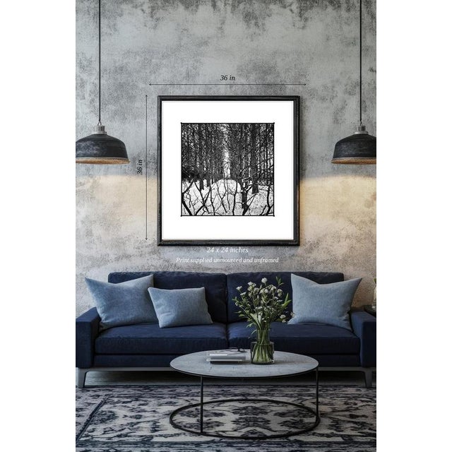 Fine art Giclee prints on Hahnemuhle Photo Rag 308gsm - a 100% cotton, acid-free, mould-made paper. Printed to Fine Art...