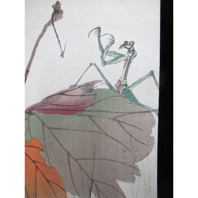 1910s Kogyo Terazaki Japanese Meiji Woodblock Print Insects & Autumn Leaves For Sale - Image 5 of 6
