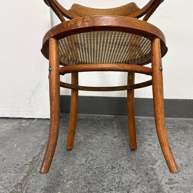 Thonet Bentwood Cane Seat Armchair, Vintage For Sale - Image 12 of 12