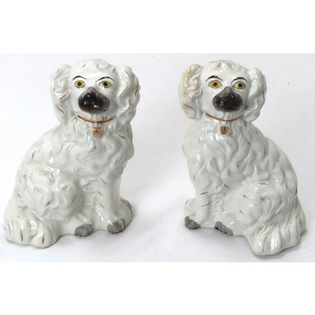 This really is a Great Looking Original Matched Pair of Authentic Antique English Staffordshire Pottery Dogs - Spaniels....