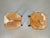 Brown Vintage Milk Stools with Cowhide Seats, 1950s, Set of 2 For Sale - Image 8 of 9