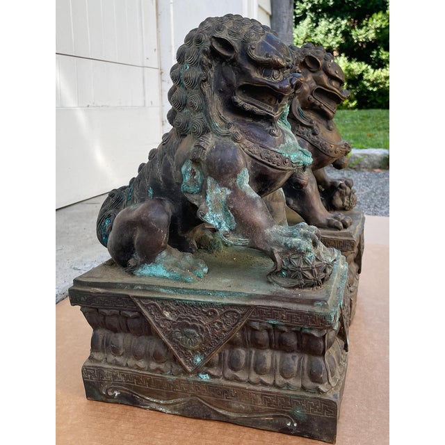 Antique Bronze Guardian Lions or Foo Dogs - A Pair For Sale In New York - Image 6 of 17