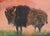 Monika Rossa is a Polish artist who studied painting at the University of Arizona, at the School of Fine Arts of Paris and...