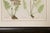 Set of Four 19th Century English Victorian Nature Printed Ferns in Black Frames For Sale - Image 12 of 12